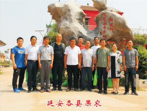 延安各縣果農(nóng)