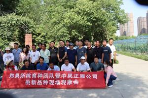 鄭果所桃育種團(tuán)隊(duì)暨中果正源公司桃新品種現(xiàn)場(chǎng)觀摩會(huì)