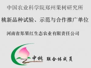 桃新品種試驗(yàn)、示范與合作推廣單位